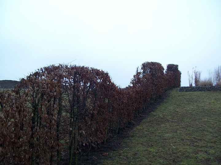 2009_ruhr 041